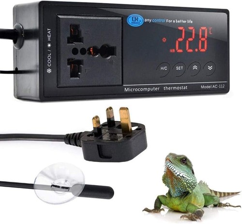 Digital reptile aquarium - digital,