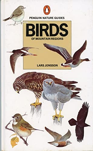Birds mountain regions - birds, of