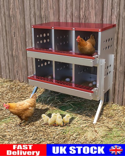 Compartment chicken nesting - 6-compartment,