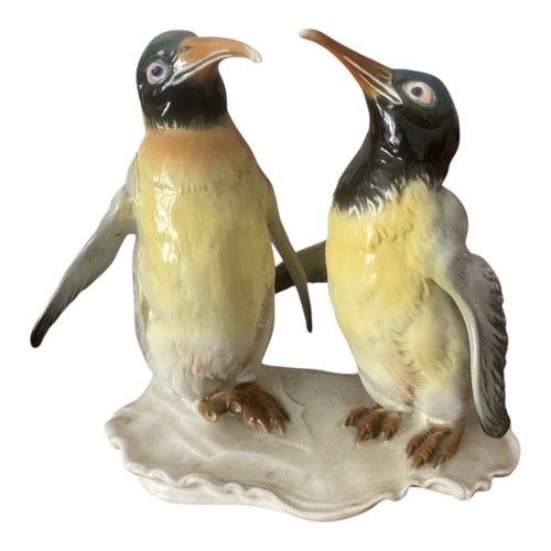 Karl ens penguin - karl,
