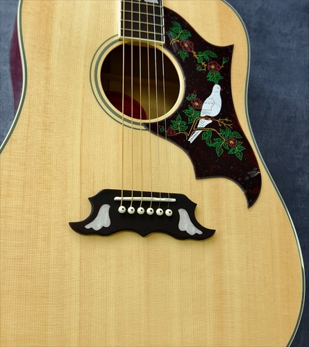 Spruce top acoustic - spruce, guitar