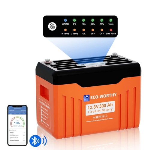 Eco worthy 300ah battery - worthy,