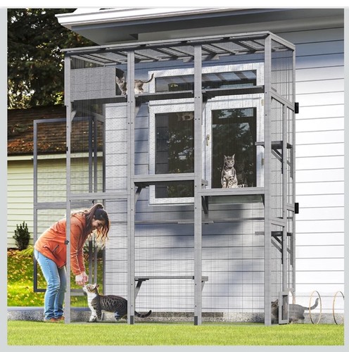 Large cat house - cat,