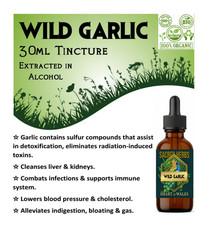 30ml Organic WILD GARLIC Tincture. 1:2 