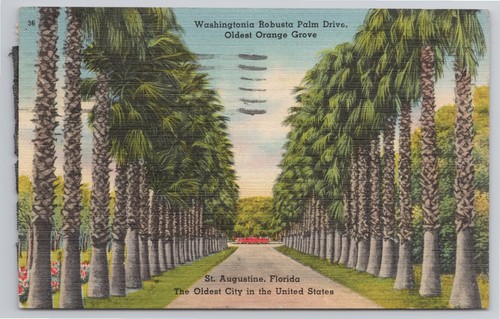 Postcard augustine fl - postcard,