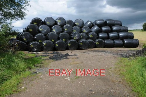 Photo silage bales - silage,
