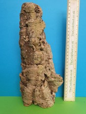 Orchid mount cork bark 27cm - mount,