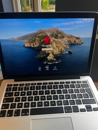 Apple macbook pro - apple, 13"