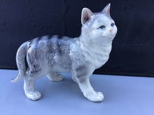 LARGE HEAVY GREY TABBY CAT