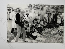 Turkey Pluckers Contest