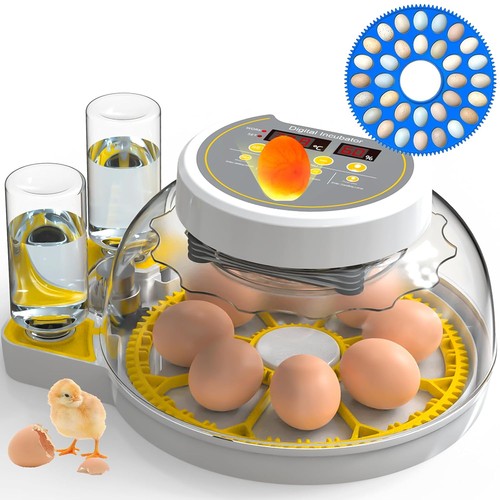 Egg incubator with automatic - with,