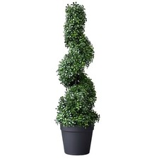 Boxwood spiral tree 85cm - boxwood,