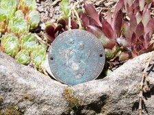 AUTOMOBILE CAR RADIATOR DASH