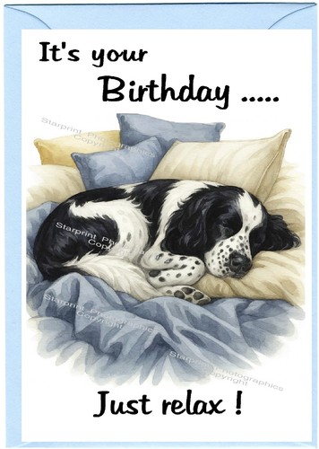 English springer spaniel - english,