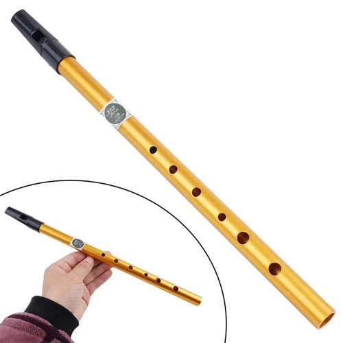 Hole irish whistle - 6,