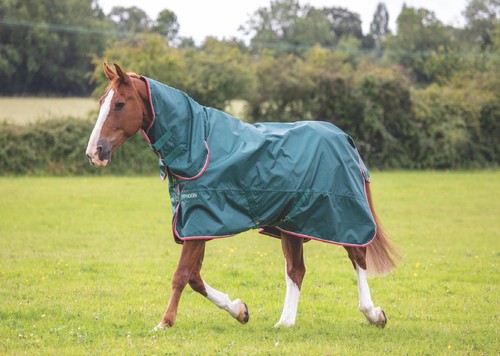 Shires typhoon fill - shires,