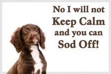 Brown Sprocker Cocker Spaniel Dog Funny Fridge Magnet birthday or christmas gift