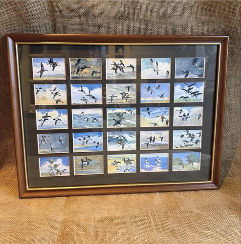 Collection john player - of, 25