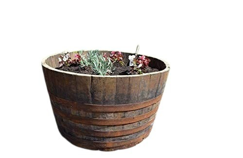 Large genuine oak half - large, whisky