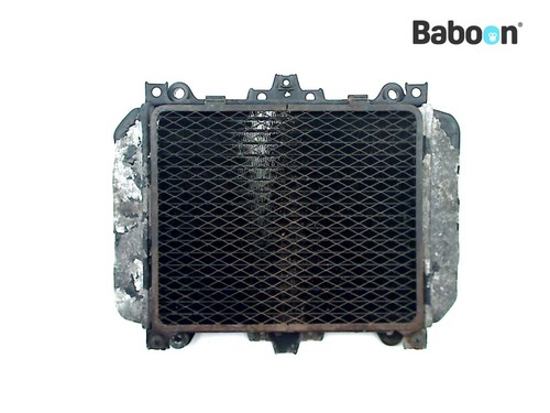 Radiator kawasaki kle 500 - radiator,