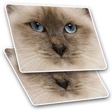 2 x Rectangle Stickers 10 cm -