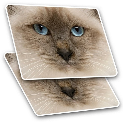 Rectangle stickers cm - 2,