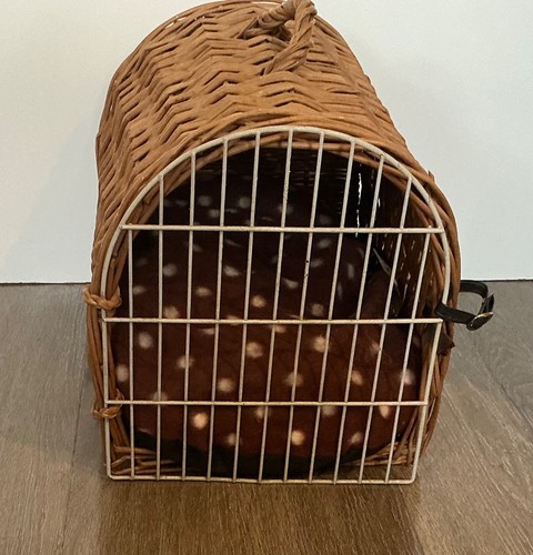 Vintage wicker cat travel - cat,