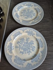 Buleigh Blue "Asiatic Pheasant