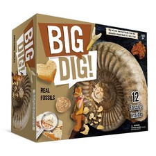 Big Dig Real Fossils