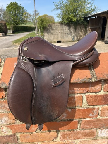 Ainsley inch show pony - inch,