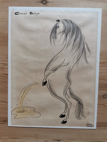 Nadine ramelot cheval belge - nadine,