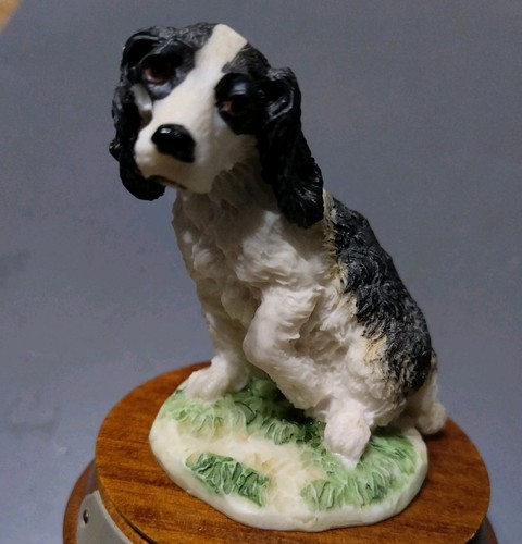 Leonardo spaniel puppy - leonardo,