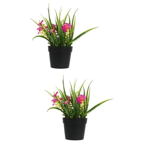 Pcs simulated clivia potted - clivia,