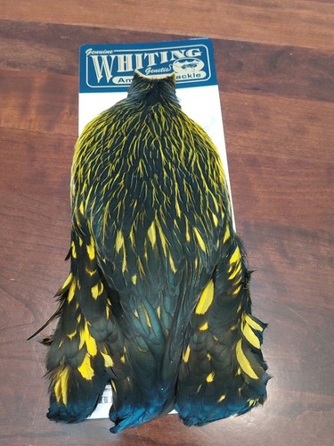 Whiting american hen cape - whiting,