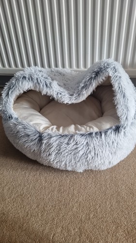 Hooded dog cat - , donut