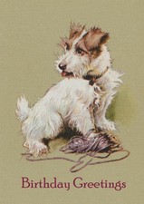 JACK RUSSELL TERRIER DOG