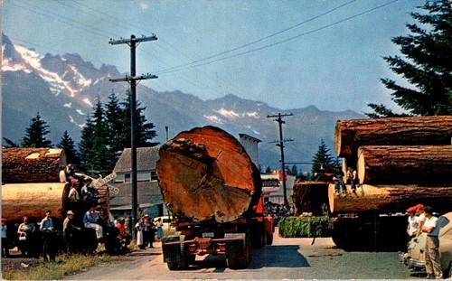 1956 oregon logging truck - 1956,