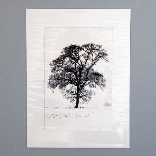 Mounted giclée art - print, of
