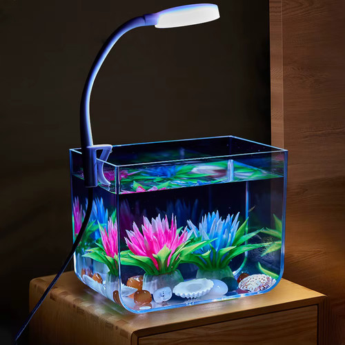 Small fish tank aquarium - small,