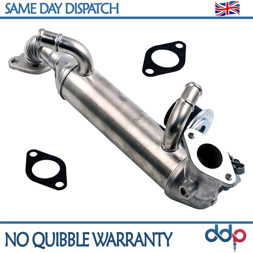 For touareg - for,