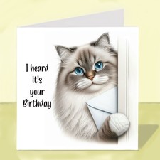 Ragdoll Cat Birthday Card