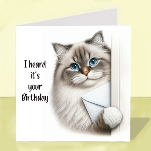 Ragdoll cat birthday card - ragdoll,
