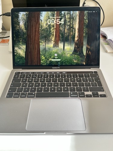 Apple macbook pro inch - pro, 13-inch