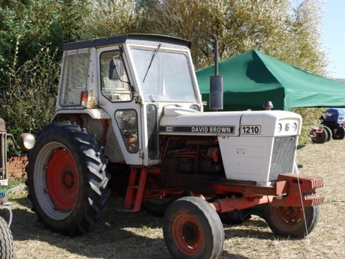 David brown 1210 - david,