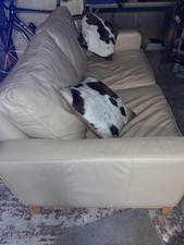 Leather Sofa 2-Seater