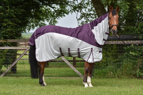Horse fly rug - fly, waterproof