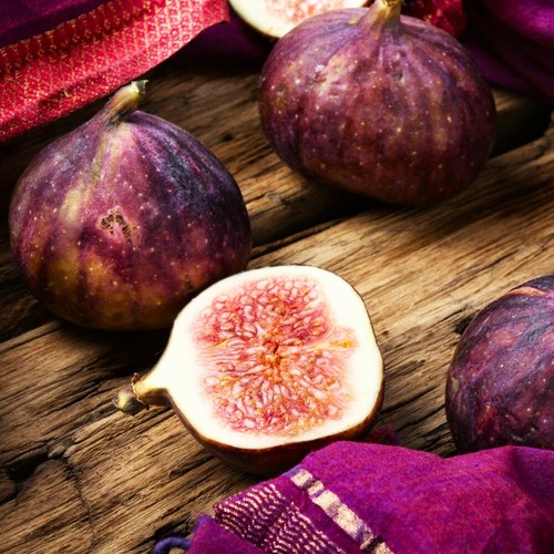 Fig brown turkey garden - t&m,