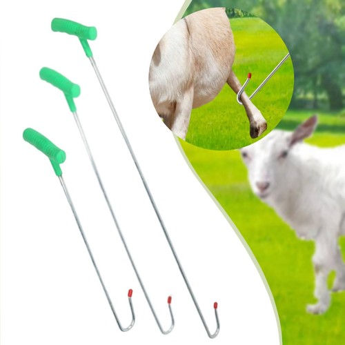 Sheep catcher iron livestock - iron,
