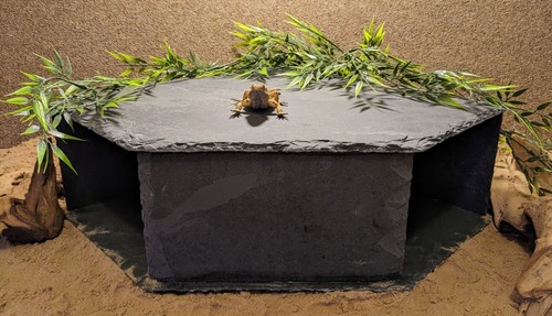 Largest ebay xxxxl slate - largest,