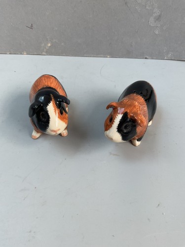 Guinea pig salt - salt, pepper